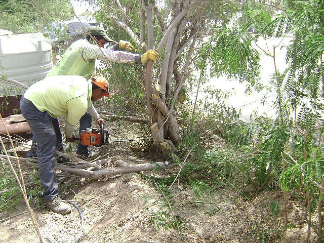 1.1329634-3392012135