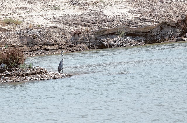 1.1329867-1320721340