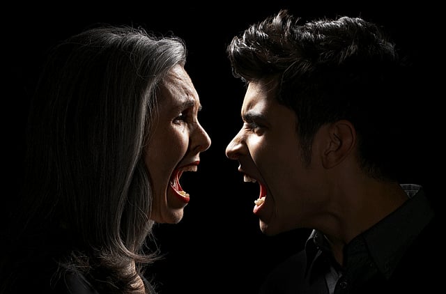 1.1330188-1006371599