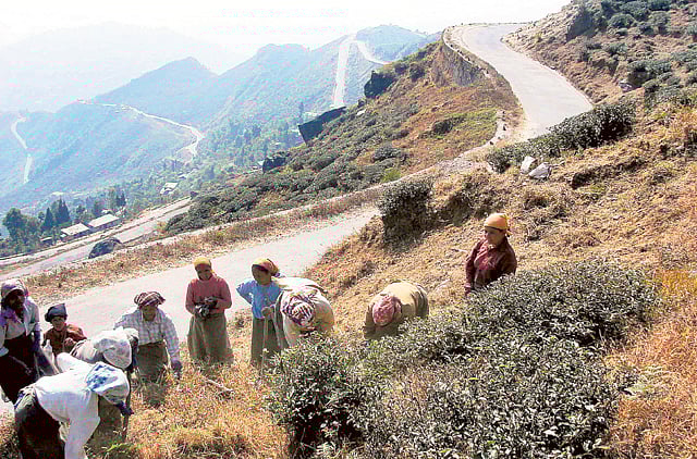 1.1347542-3442664823