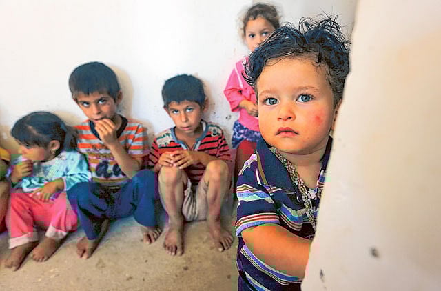 1.1347862-4221190636