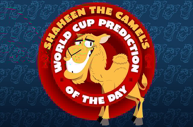 1.1347800-1736849731