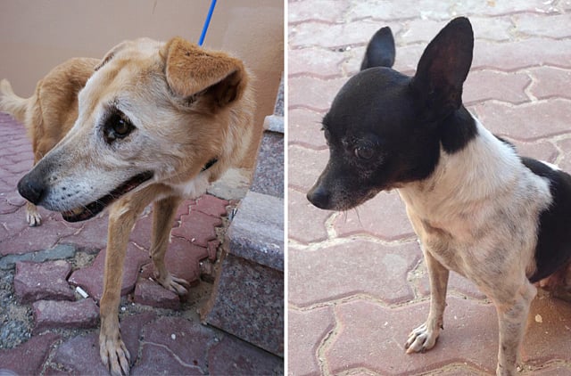 1.1349740-4142077372