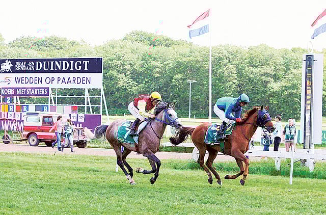 1.1350112-1308262585