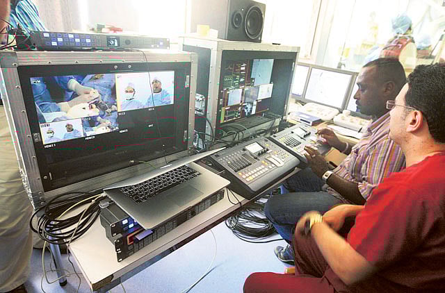 1.1352717-3028305619