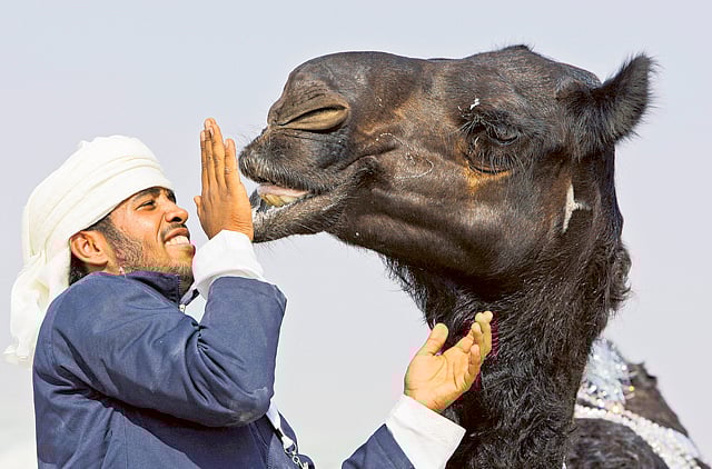 1.1343371-2289580956