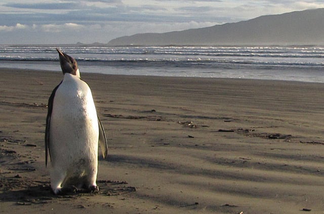 1.1354292-2718542971