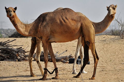 Reader pictures of the day