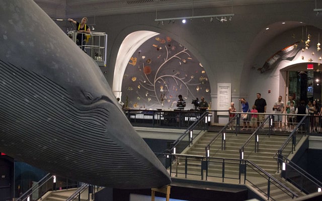 1.1358409-4290280780