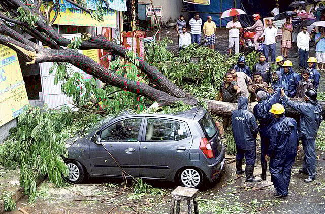 1.1358862-3639134681