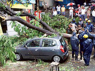 Mumbai residents worried as Mithi River not cleaned 9 years after floods