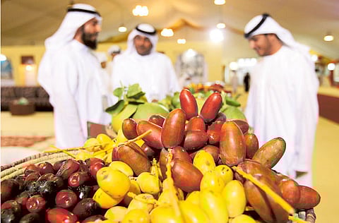 Courtesy: Liwa Date Festival