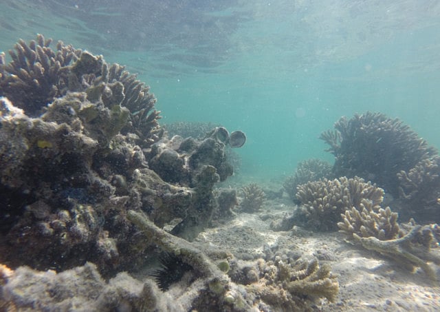 1.1360459-1681044587