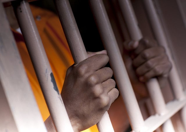 1.1360401-3562233392