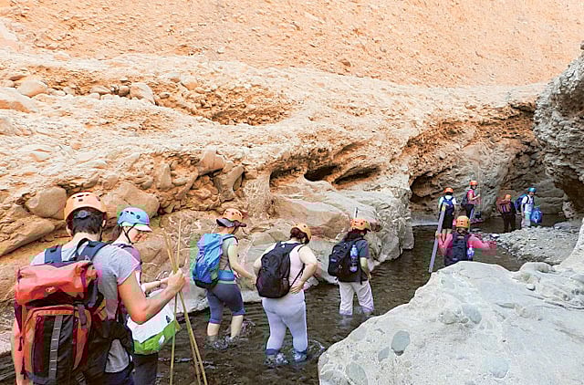 1.1360637-1187571390