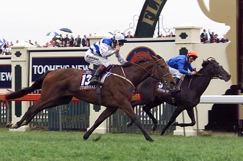 1.1360725-1664519740