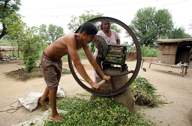 1.1361306-2378684837