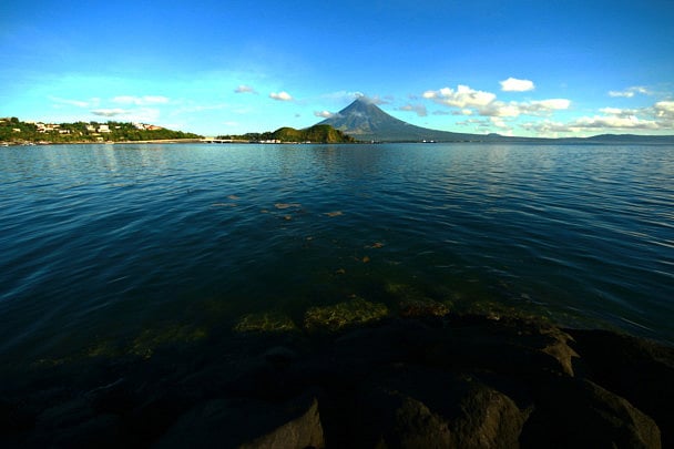 1.1354833-4235539574