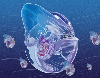 Ailing pteropods point to climate change