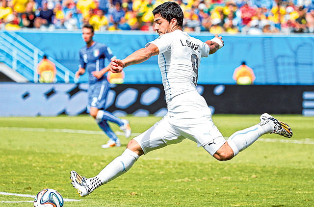 1.1354802-1132782842