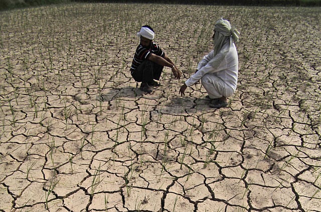 1.1607592-1691579103