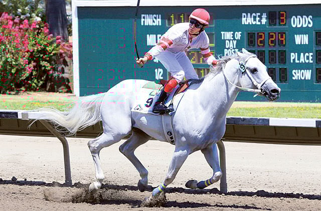 1.1361809-4145557746