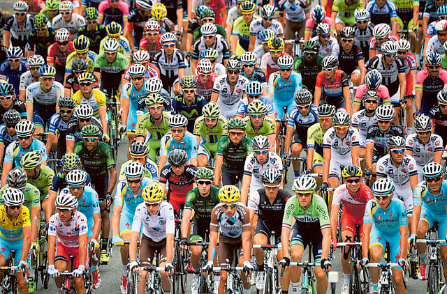 1.1361797-3580117065