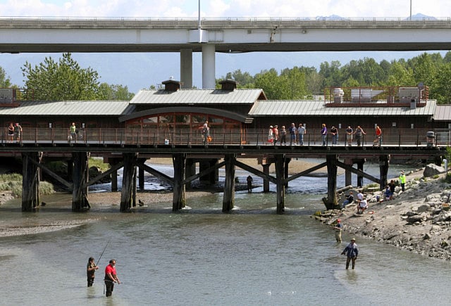 1.1362705-1518931099