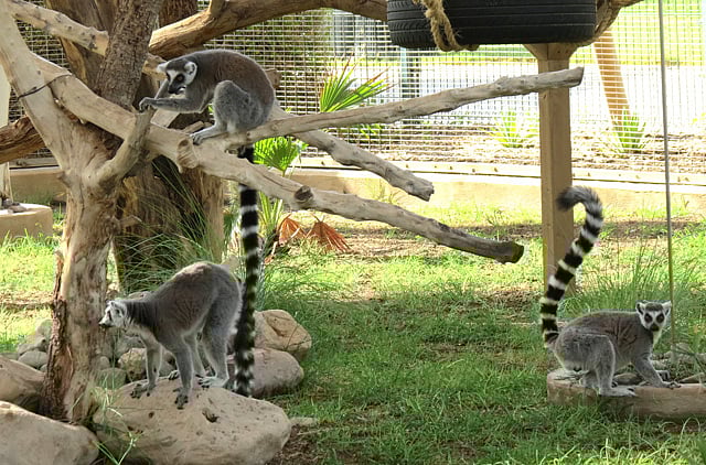 1.1363842-3887690271