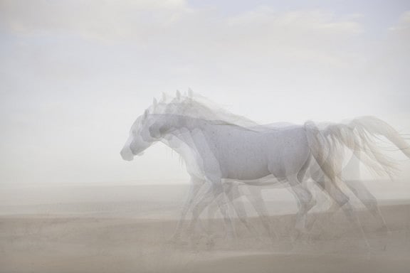 1.1355302-3632769530