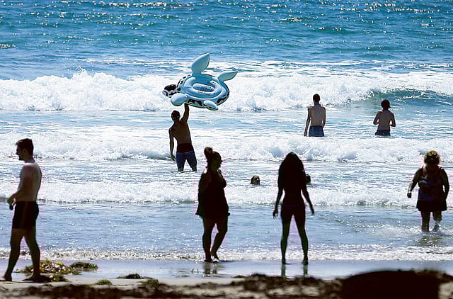 1.1365300-3981293227