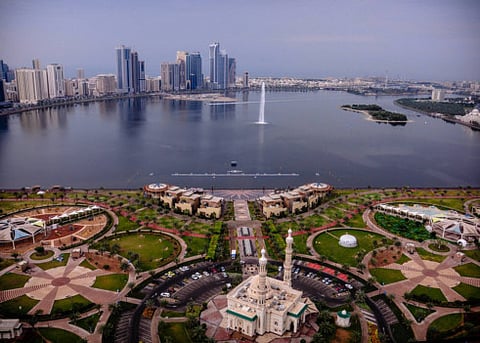 Reader picture of the day