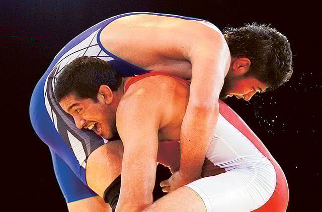 1.1365753-3759224155