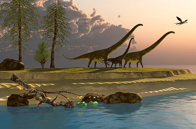 1.1365757-4285918558