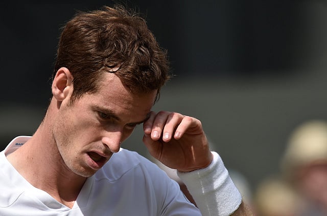 1.1356036-1812066391