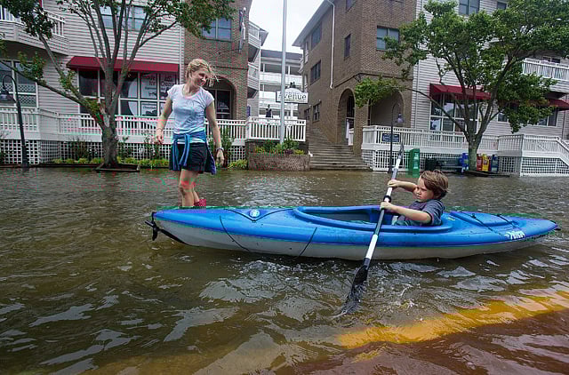 1.1356013-4250748536