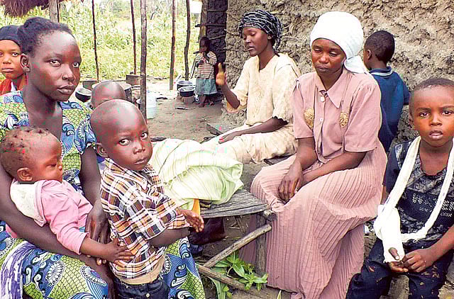 1.1356602-3106172584