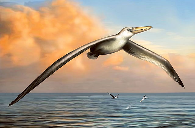 1.1357257-3919419620