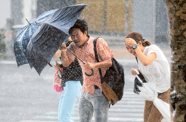 1.1357598-1179466254