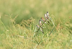 Reader pictures of the day