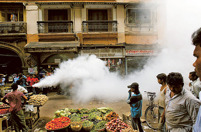 1.1366132-1214093856