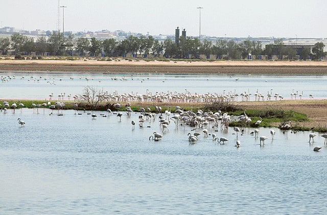 1.1366227-3737886044