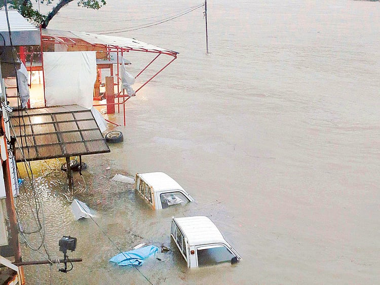 1.1370461-2761808002