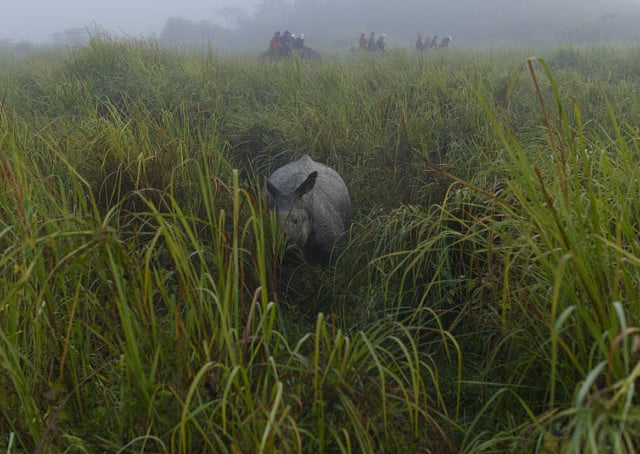 1.1370553-3510162921