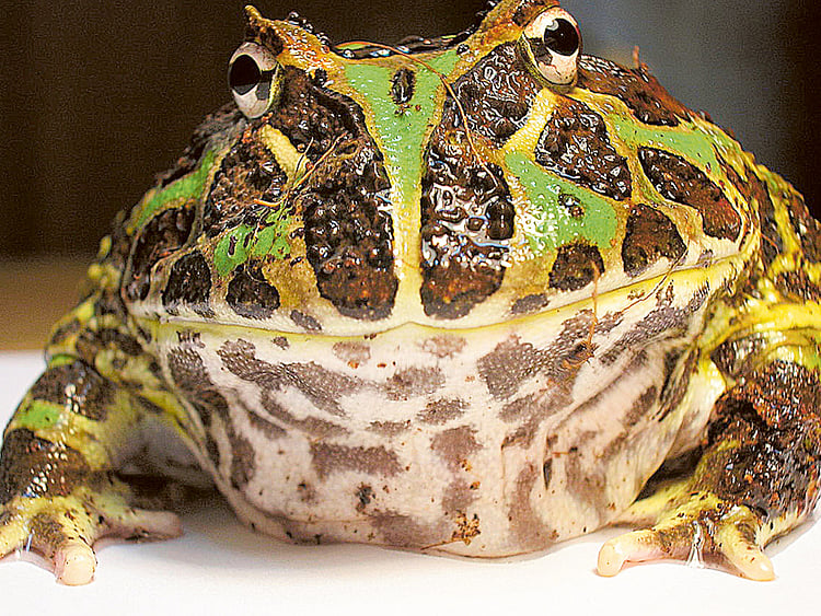 1.1372047-1793672649