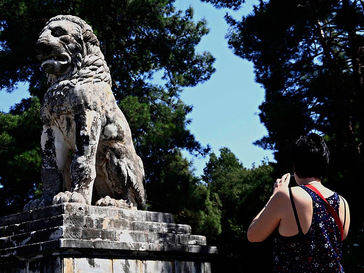 1.1372002-3008837693