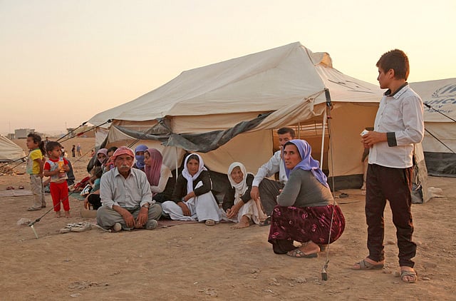 1.1372778-2262676272