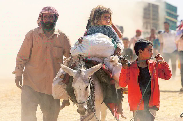 1.1372771-1056320040