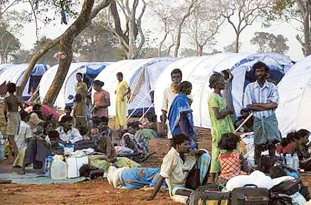 1.1373933-2763213585