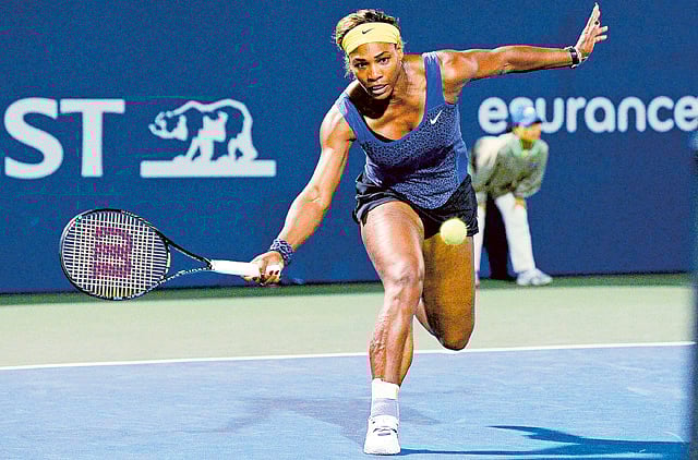 1.1366404-2595406169